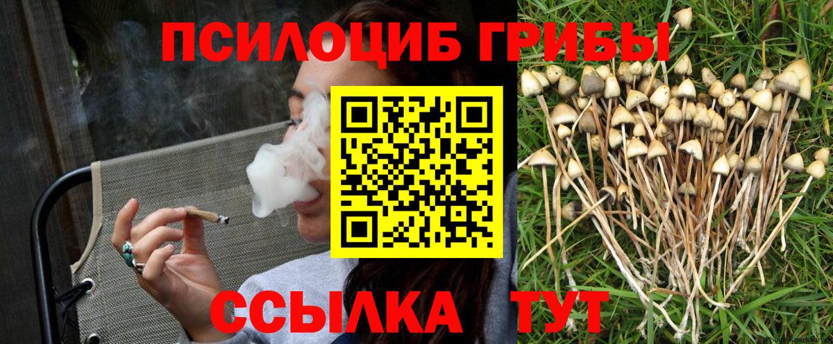 Советск  Псилоцибиновые грибы мухоморы  Вход с VPN 
