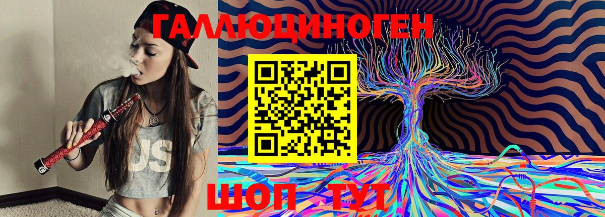 Псилоцибиновые грибы Psilocybe Советск